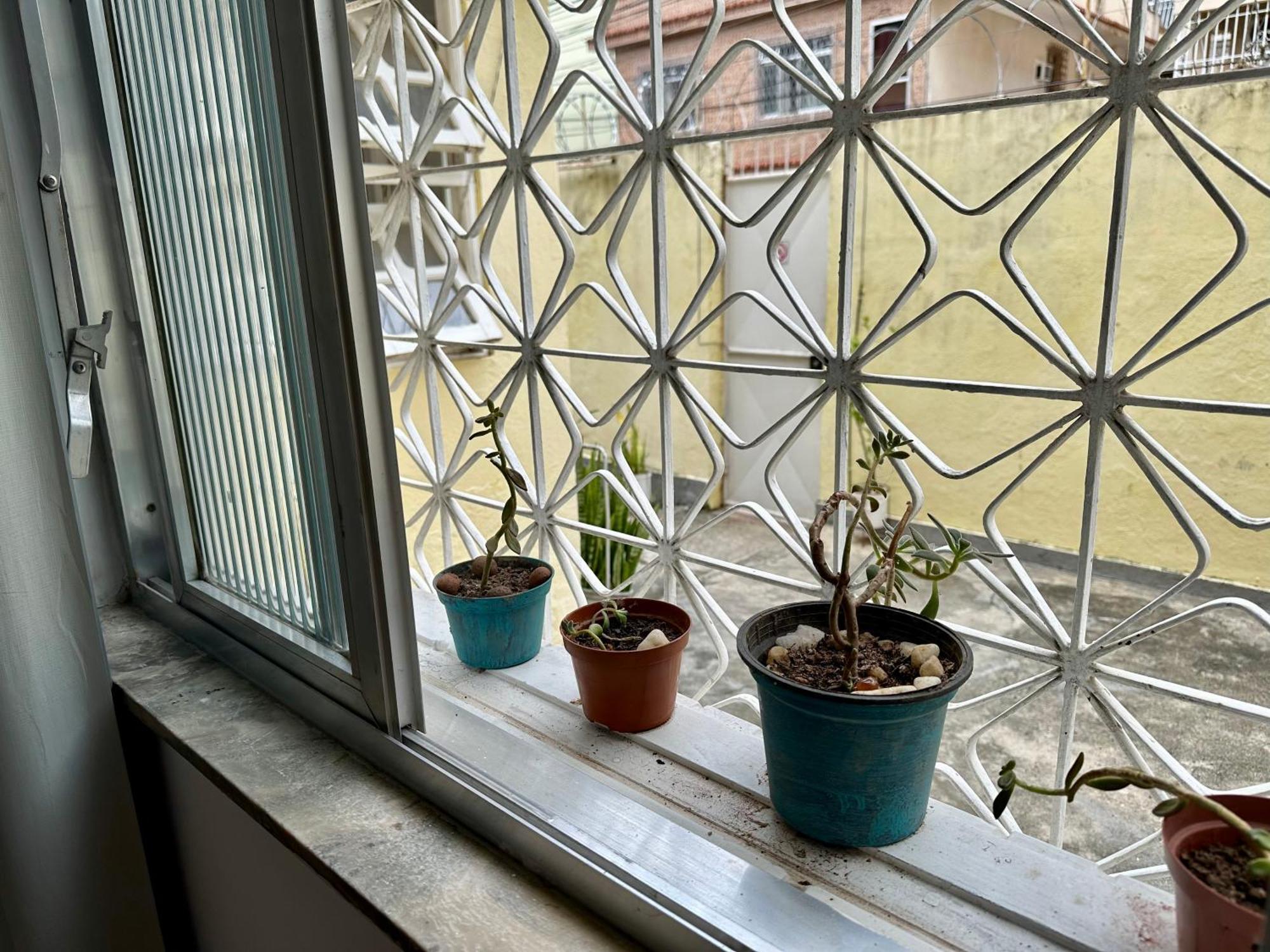 Séjour chez l'habitant Casinha Tropical